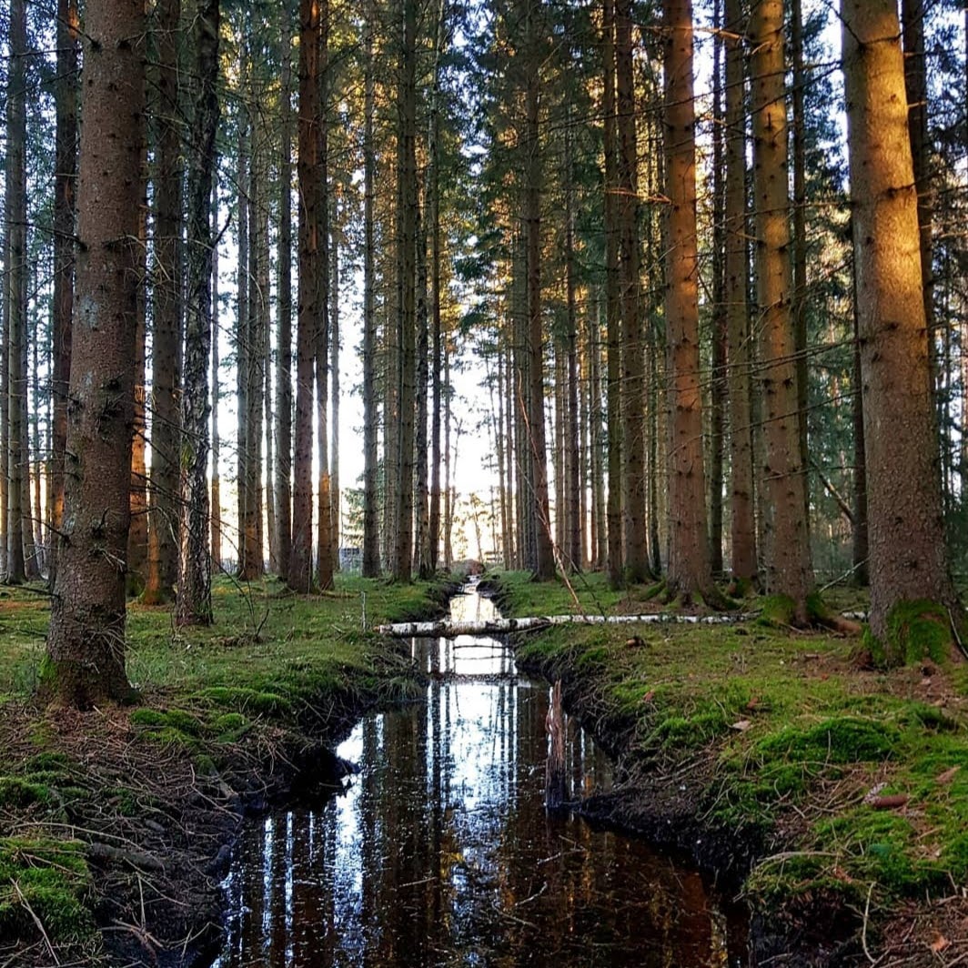 379360382_195898306843574_6436542288095564866_n