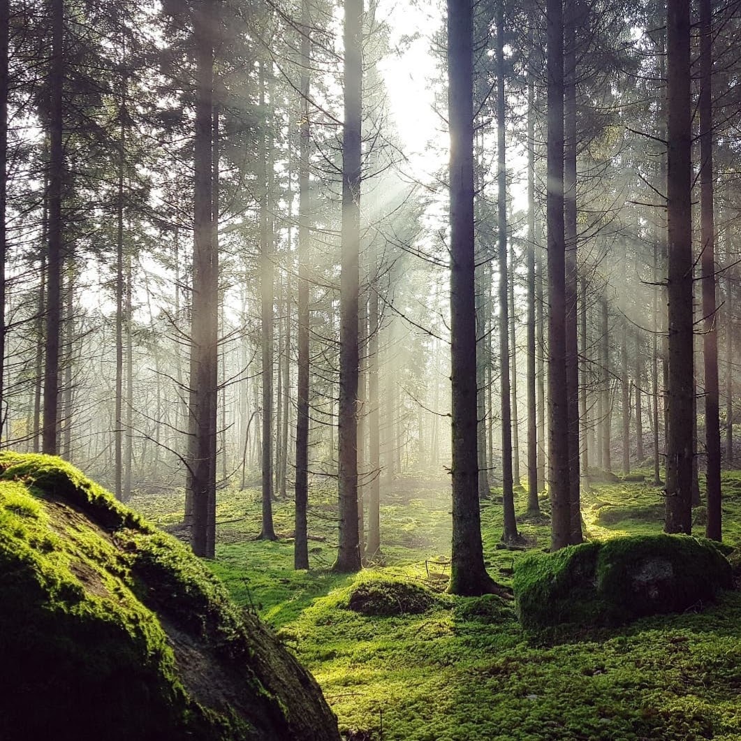 380684843_1694481311064445_3262717482071970046_n