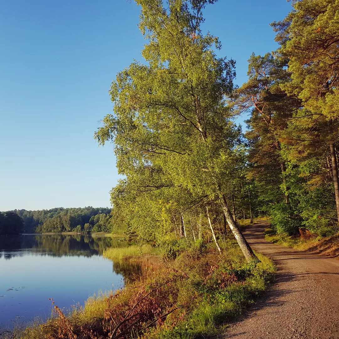 380752990_292683726836082_7041794737137448969_n