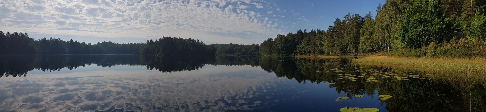 380936811_339426131762833_6652233952236287866_n