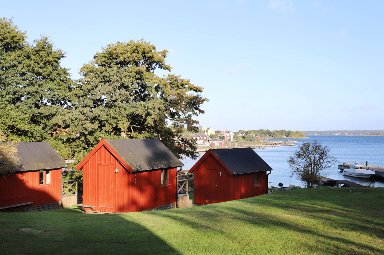 w-tarno-bodarmothavet