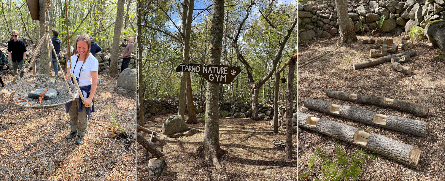 w-tarno-gym