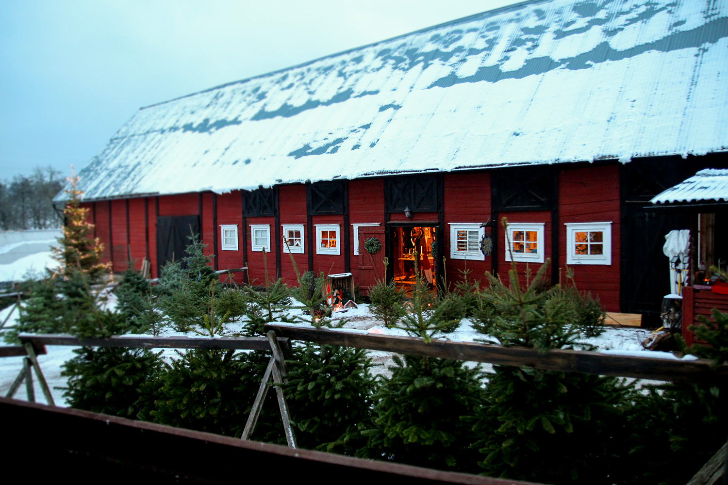Julstämning på Riksdagsmannagården