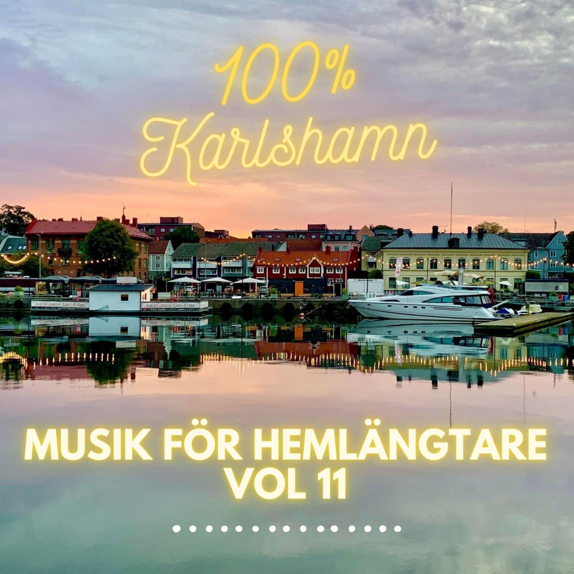 Musik för hemlängtare vol 11