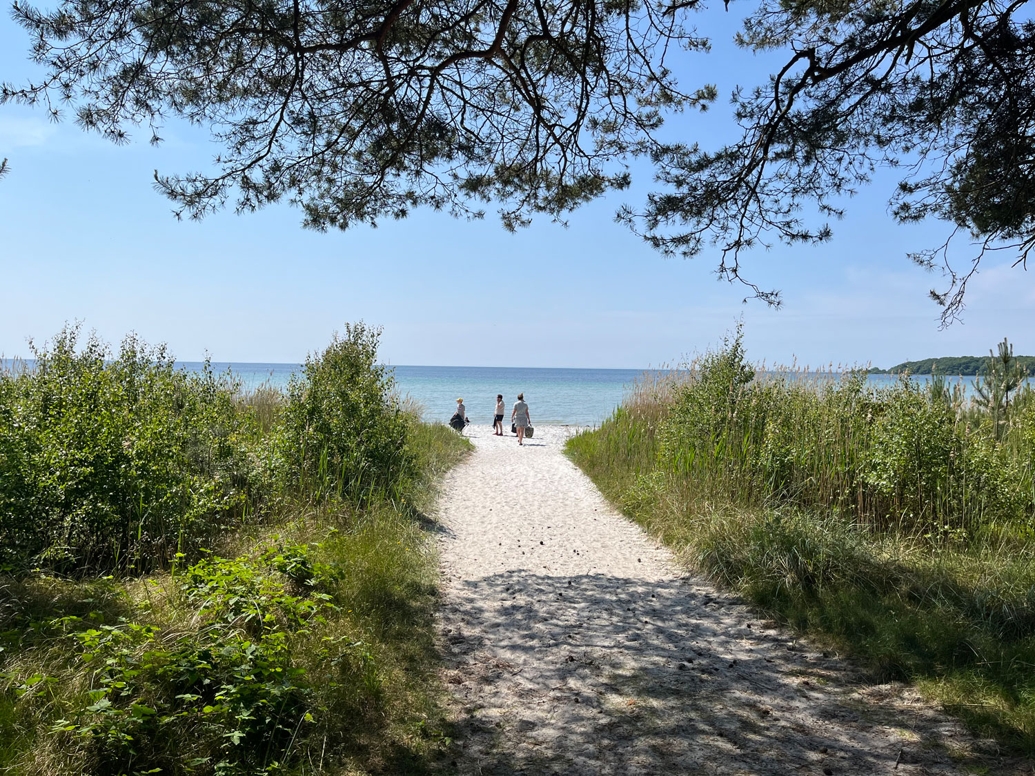 w-havet-IMG_2128